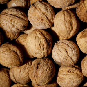 In‑shell walnuts No28